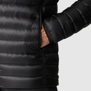 TNF SUMMIT SERIES Breithorn Hooded Kaz Tüyü Ceket