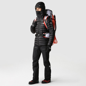 TNF SUMMIT SERIES Breithorn Hooded Kaz Tüyü Ceket