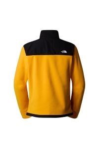 TNF Alpine 200 Polartec Ceket