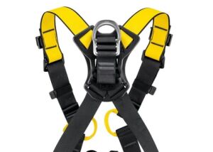 PETZL NEWTON Emniyet Kemeri - Uluslararası Versiyon C073BA01