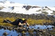 LifeStraw® Bireysel Su Filtresi