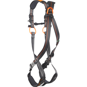 SKYLOTEC IGNITE ION