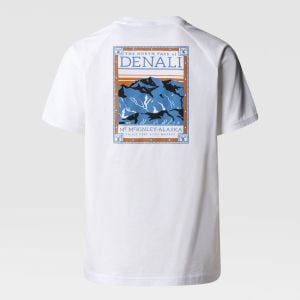 TNF North Faces Tshirt (Yaz 2025)