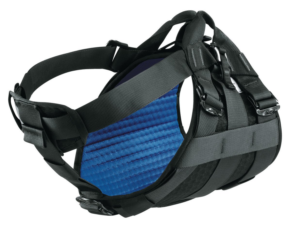 Petzl Dog Köpek Emniyet Kemeri C99H