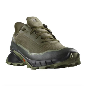 Salomon Alphacross 5 GTX Ayakkabı