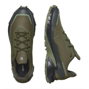 Salomon Alphacross 5 GTX Ayakkabı