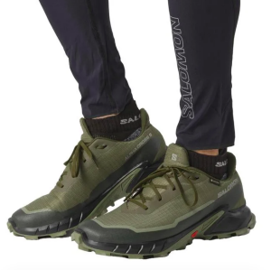 Salomon Alphacross 5 GTX Ayakkabı
