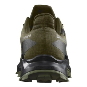 Salomon Alphacross 5 GTX Ayakkabı