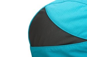 Shine cap Larkspur